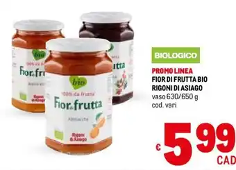 Metro FIOR DI FRUTTA BIO RIGONI DI ASIAGO vaso 630/650 g offerta