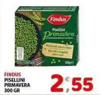 Mio Market FINDUS PISELLINI PRIMAVERA 300 GR offerta