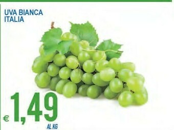 MD Discount Uva bianca offerta
