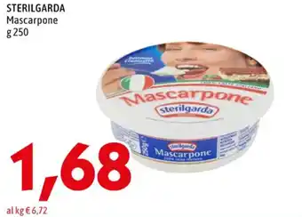 MEGA STERILGARDA Mascarpone g 250 offerta