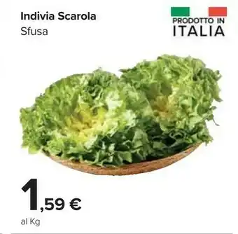 Indivia scarola