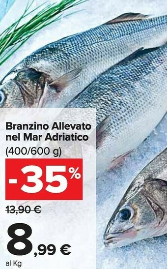 Carrefour Market Branzino offerta