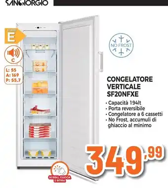 Expert CONGELATORE VERTICALE SF20NFXE offerta