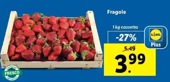 Lidl Fragole 1 kg cassetta offerta