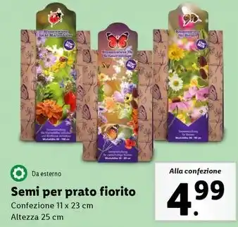 Lidl Semi per prato fiorito offerta