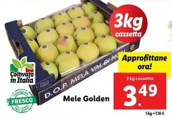 Lidl Mele Golden offerta