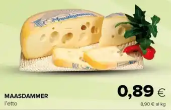 Tigre MAASDAMMER offerta