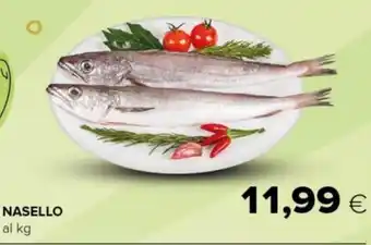 Tigre NASELLO al kg offerta