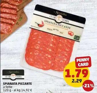 PENNY SPIANATA PICCANTE a fette 120 g offerta