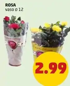 PENNY ROSA offerta