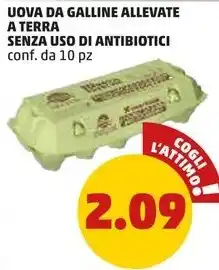 PENNY UOVA DA GALLINE ALLEVATE A TERRA SENZA USO DI ANTIBIOTICI conf. da 10 pz offerta