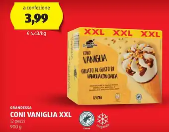 ALDI GRANDESSA CONI VANIGLIA XXL 12 pezzi 900 g offerta