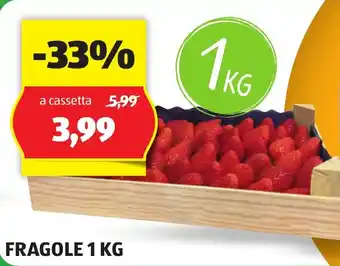 ALDI FRAGOLE 1 KG offerta