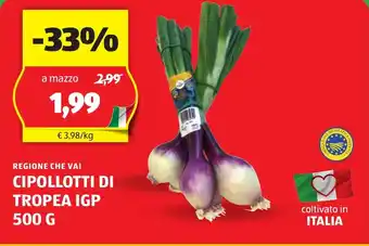 ALDI REGIONE CHE VAI CIPOLLOTTI DI TROPEA IGP 500 G offerta