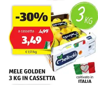 ALDI MELE GOLDEN 3 KG IN CASSETTA offerta