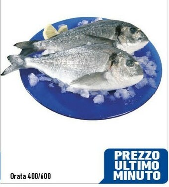 C+C Italmarket Orata offerta