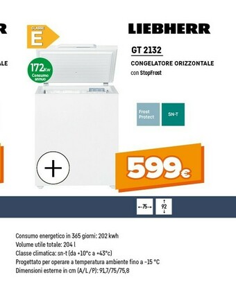 Expert Gt 2132-21 libera installazione a pozzo bianco 193 l a++ offerta
