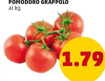 PENNY POMODORO GRAPPOLO offerta