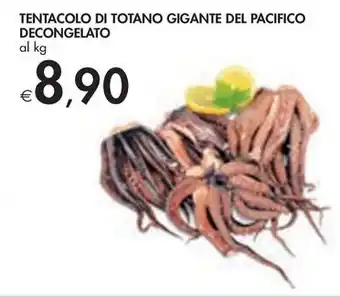 Bennet TENTACOLO DI TOTANO GIGANTE DEL PACIFICO offerta