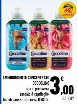 Conad City AMMORBIDENTE CONCENTRATO COCCOLINO offerta