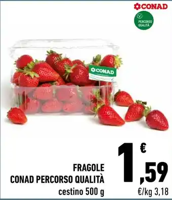 Conad City FRAGOLE CONAD PERCORSO QUALITÀ cestino 500 g offerta