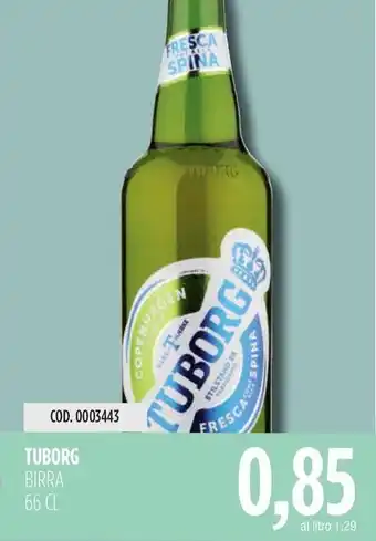 Carico Cash & Carry TUBORG BIRRA 66 CL offerta