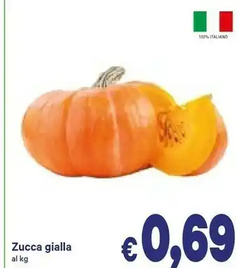A&O Zucca gialla offerta
