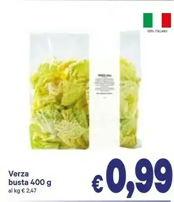 Verza busta