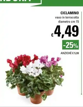 Ciclamino