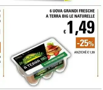 Basko 6 uova grandi fresche da allevamento a terra offerta