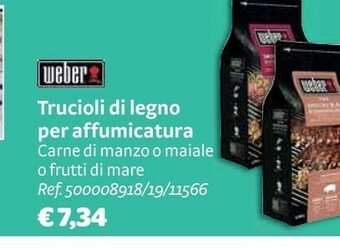 Bricocenter Trucioli di legno per affumicatura offerta