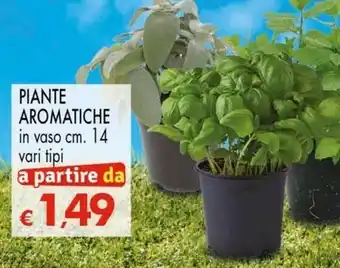 Interspar PIANTE AROMATICHE offerta