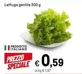 Iper La Grande Lattuga gentile 300 g offerta