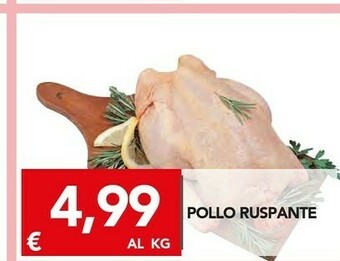 TuoDi Petto di pollo offerta