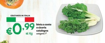 Pam Verdure offerta
