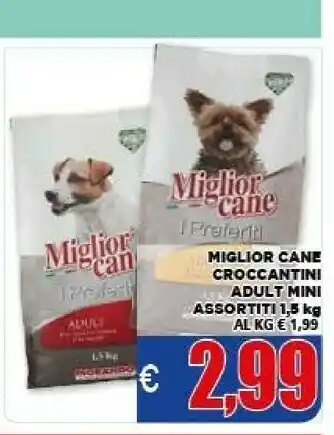 Morando miglior cane croccantini adult mini