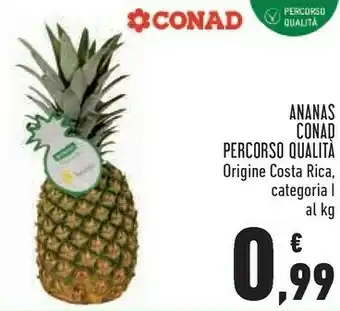 Conad City Conad ananas offerta