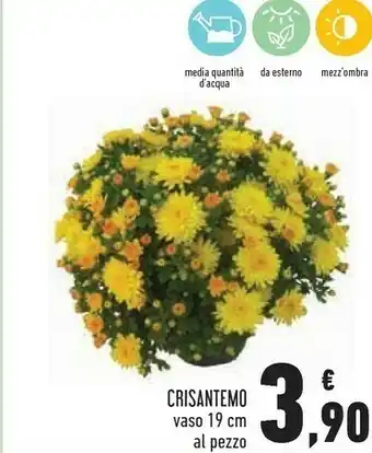 Conad City Crisantemo vaso 19 cm offerta