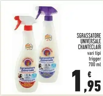 Conad City Chanteclair sgrassatore universale offerta