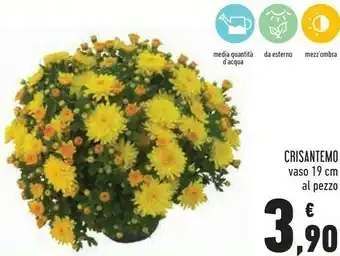 Conad Superstore Crisantemo vaso 19 cm offerta