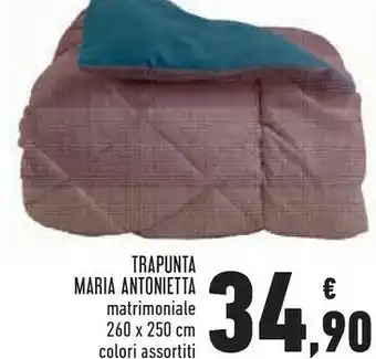 Conad Superstore Trapunta maria antonietta matrimoniale 260 x 250 cm offerta