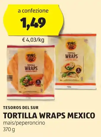 ALDI TESOROS DEL SUR TORTILLA WRAPS MEXICO mais/peperoncino 370 g offerta