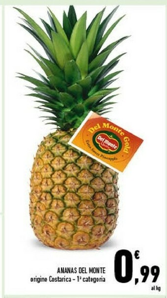 Conad Ananas del monte offerta