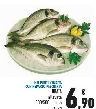 Conad Orata offerta