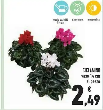 Conad Conad ciclamino offerta