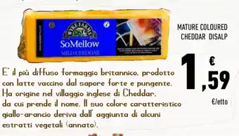 Conad Mature Coloured Cheddar Disalp offerta