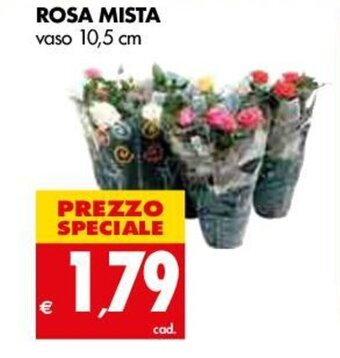 Tigros Rosa Mista offerta