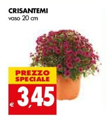 Tigros Crisantemi offerta