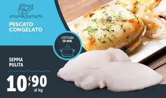 Deco Superfreddo SEPPIA PULITA offerta