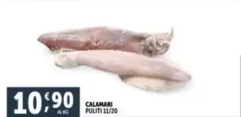 Deco Superfreddo CALAMARI PULITI 11/20 offerta